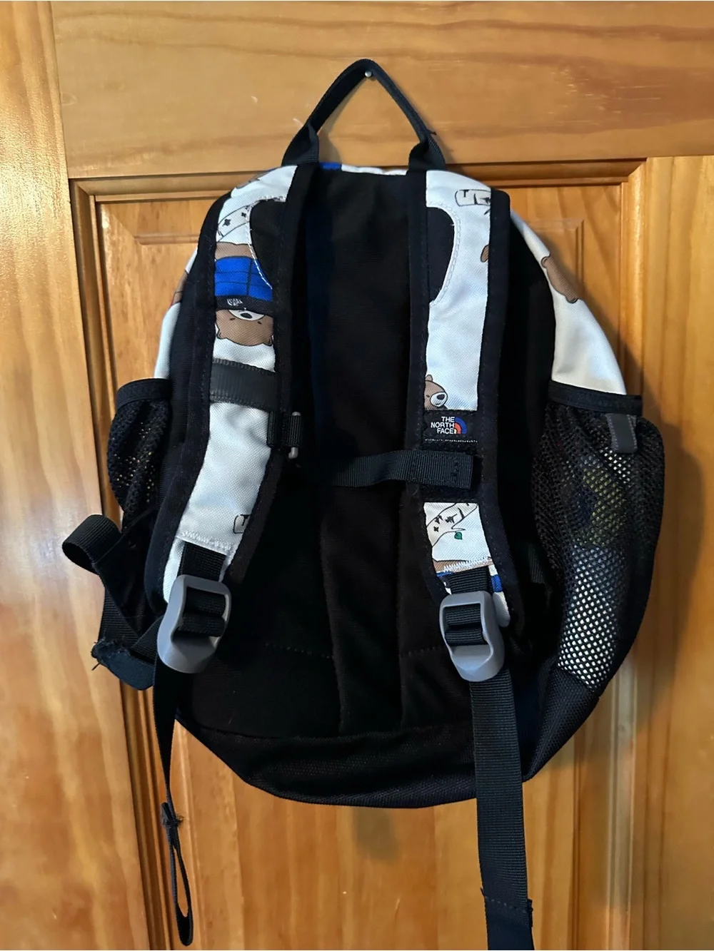 The North Face playful bear